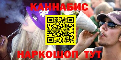 spice Партизанск